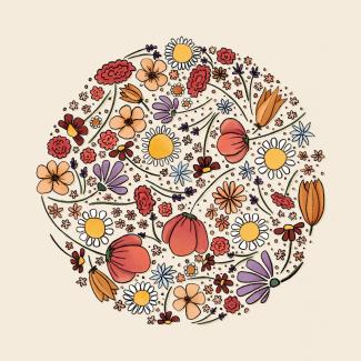 Flower Illustration